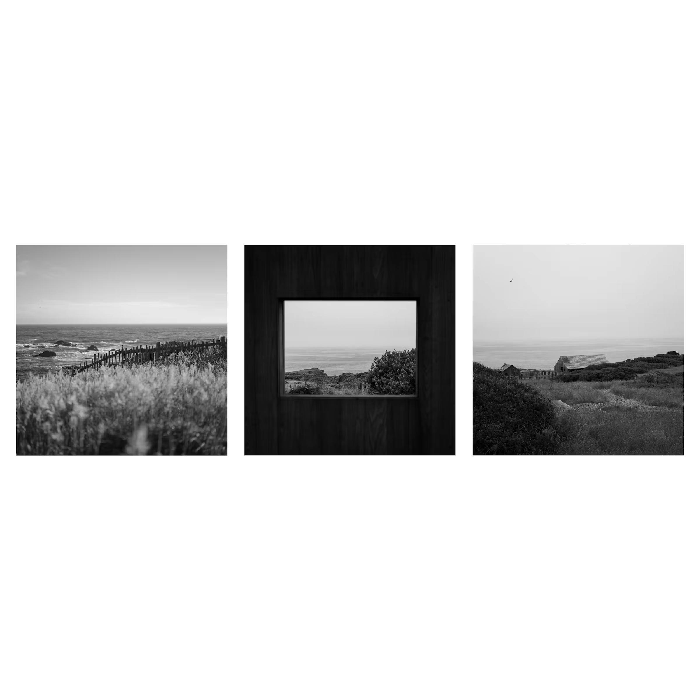 World Photography Day 2025