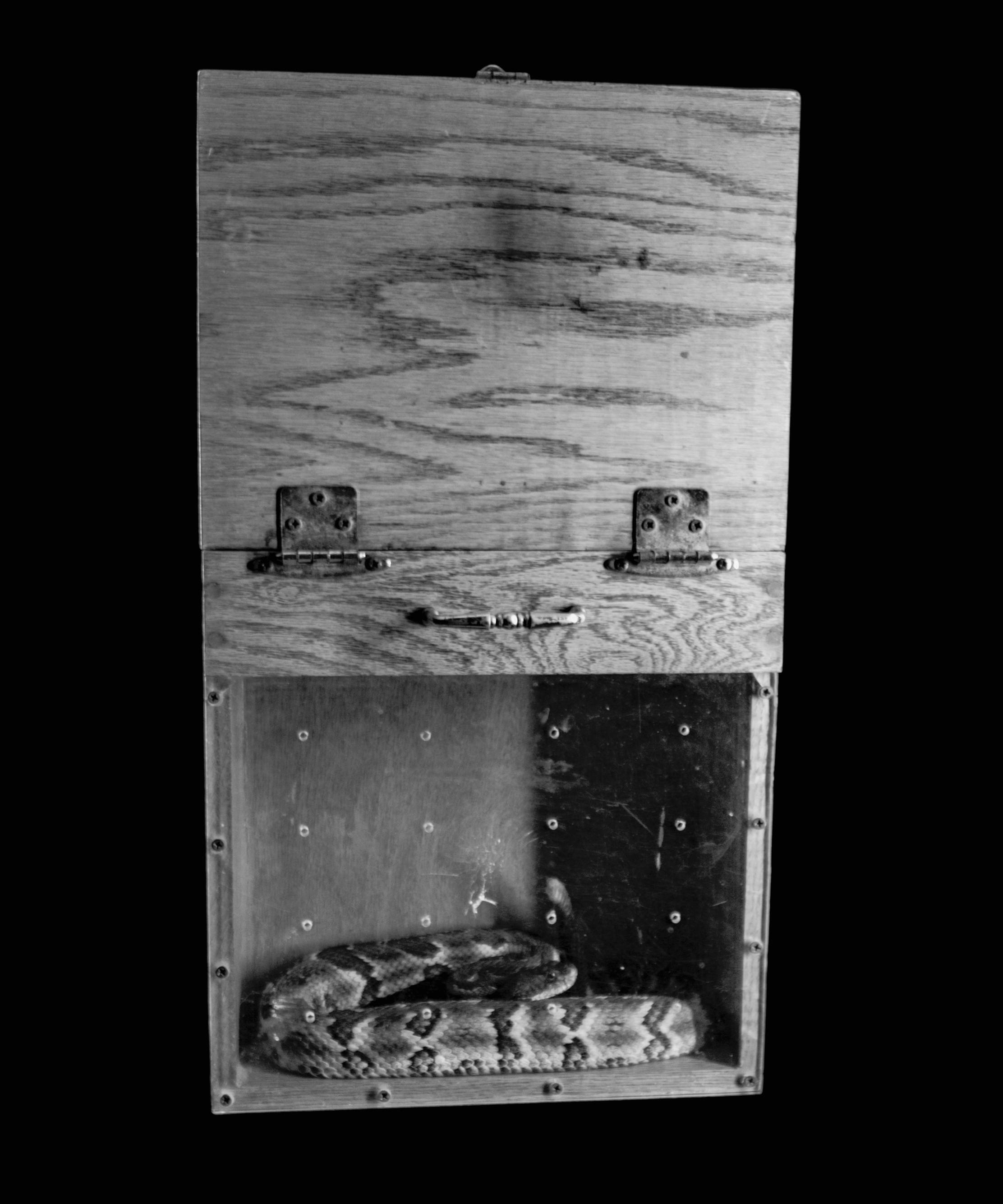 GLORYLAND "Untitled #17"