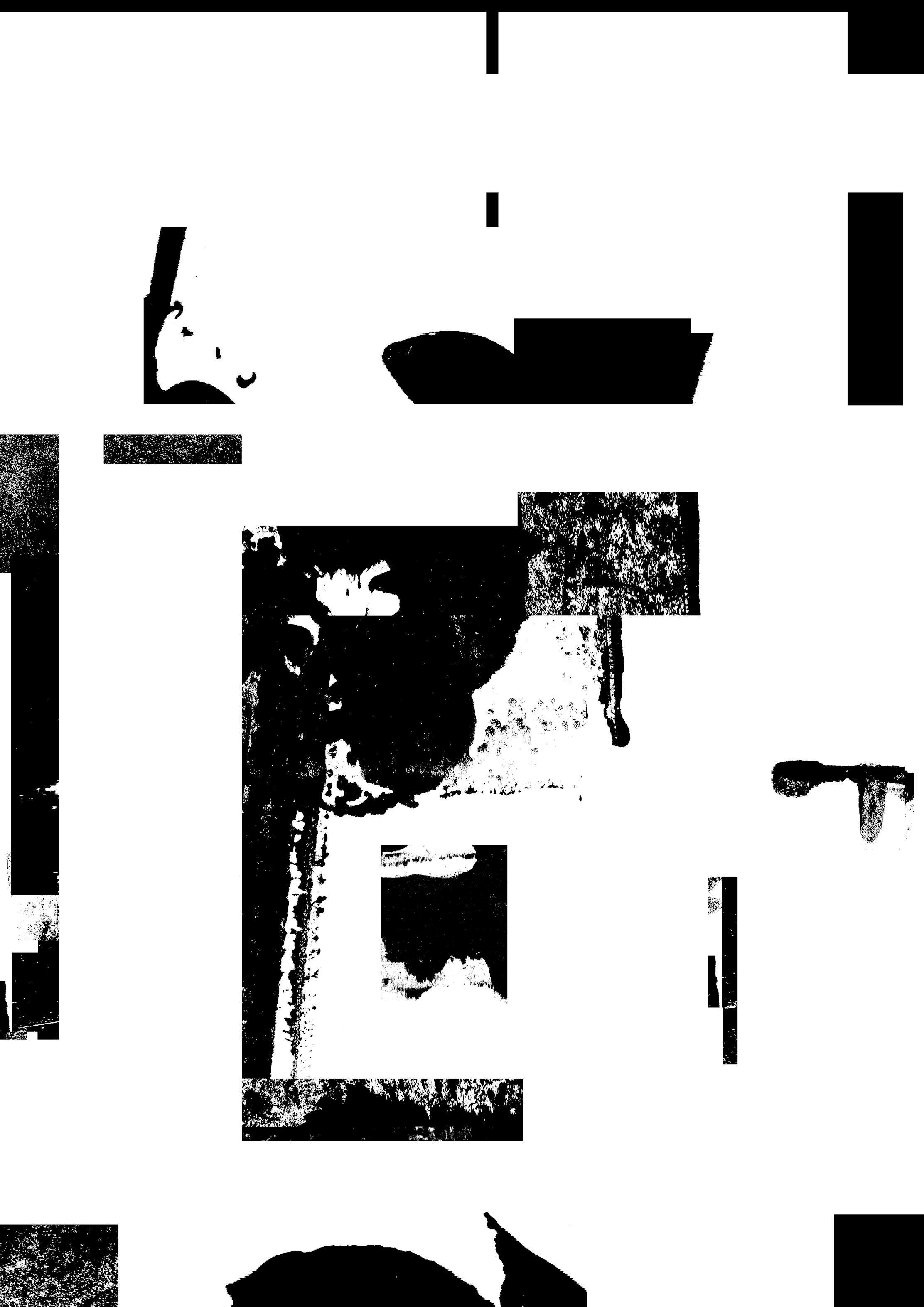 cogitare aesthetica II