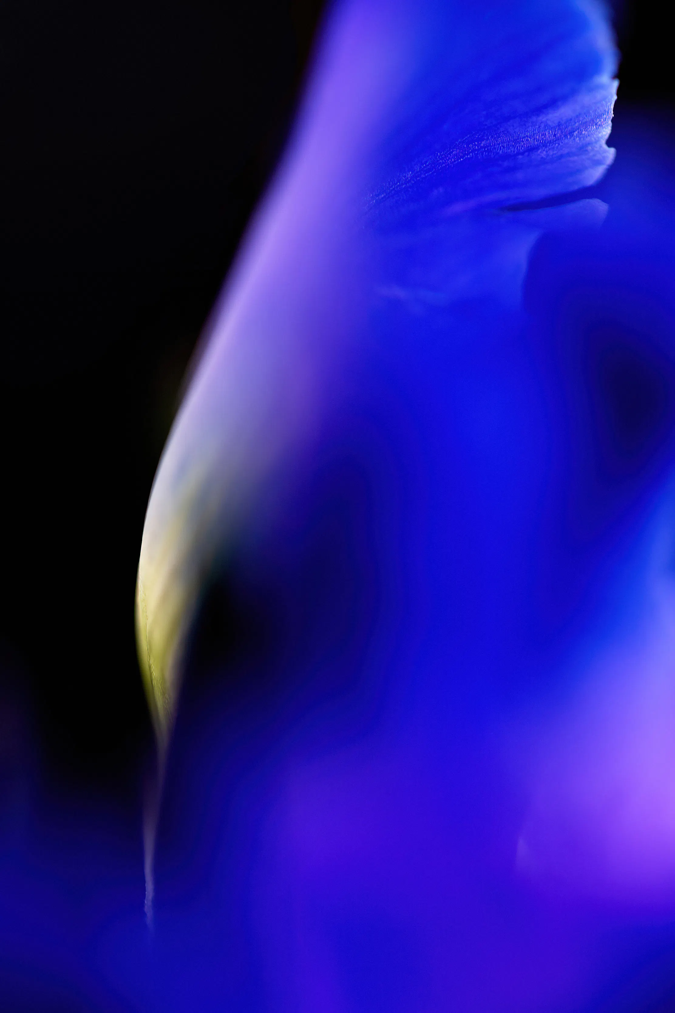 Life Was Never Ending