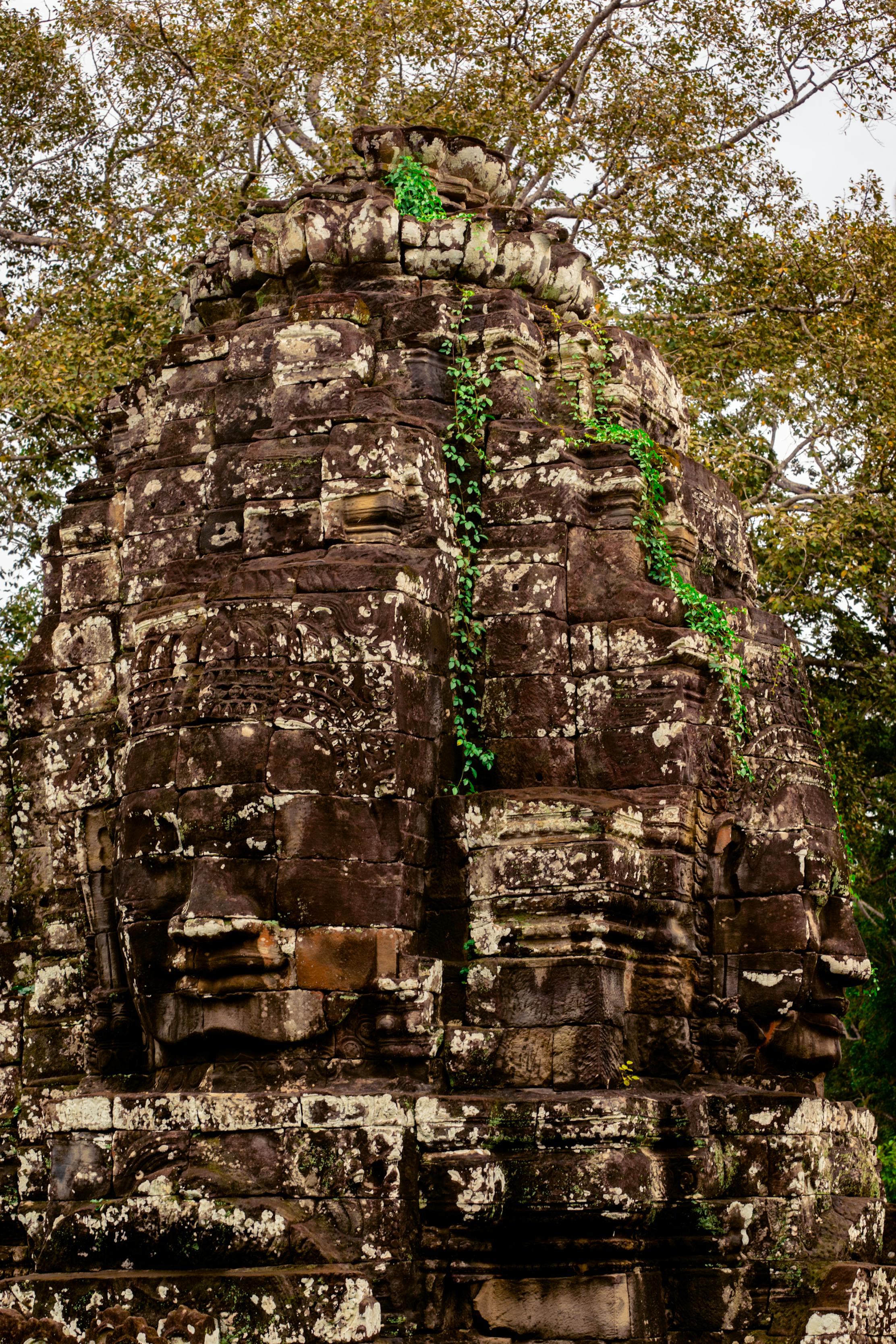 Angkor #24